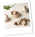 polaroid champignons